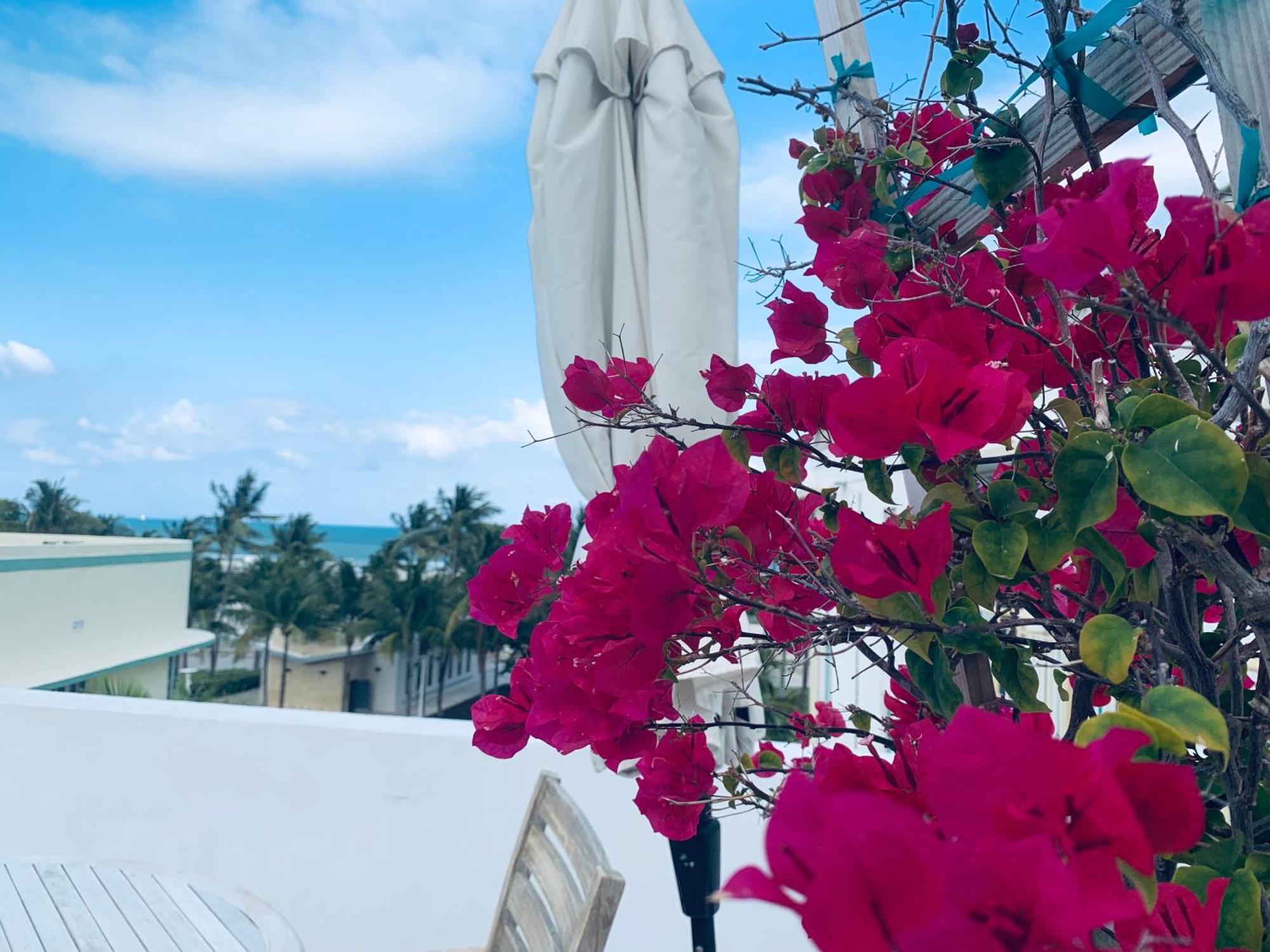 Sunrise Penthouse Ocean View Terrace Beach Few Steps Away Sobe Μαϊάμι Μπιτς Εξωτερικό φωτογραφία